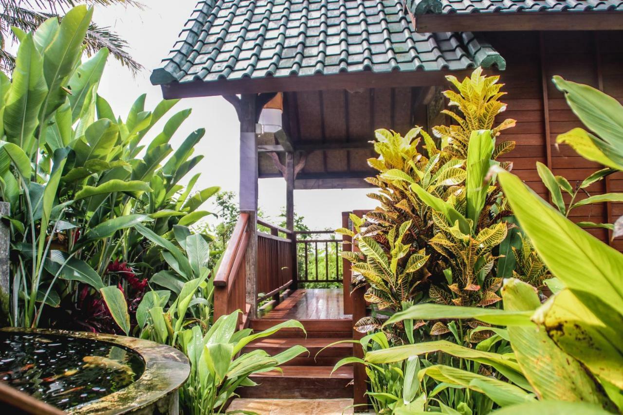 Kubu Jamu Hotel Ubud  Bagian luar foto